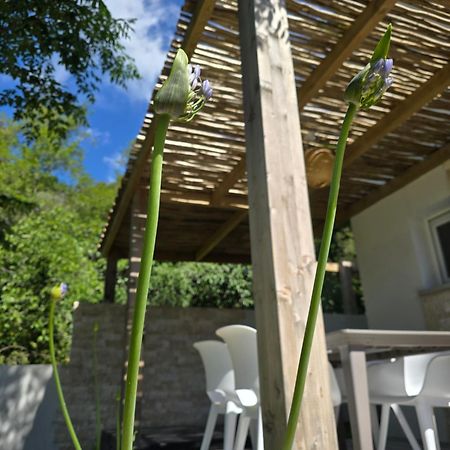 Petite Maison - Porto-Vecchio Екстер'єр фото